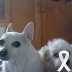 Meet your Posher, Deborah